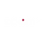 Zoom TV